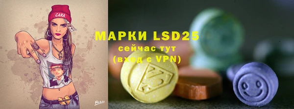 PSILOCYBIN Баксан