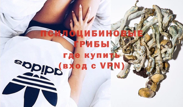 PSILOCYBIN Баксан