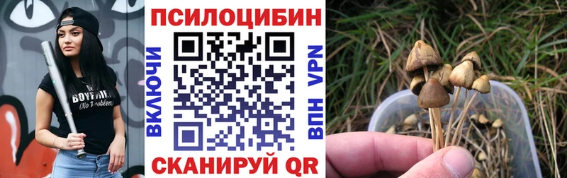 Псилоцибиновые грибы Magic Shrooms  Заречный 